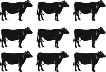 Set of cow silhouettes standing side view, farm animal livestock collection, black isolated on white, cad drawing flat vector illustration.