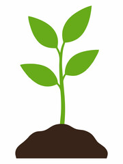 Illustration of young green plant seedlings growing in the soil