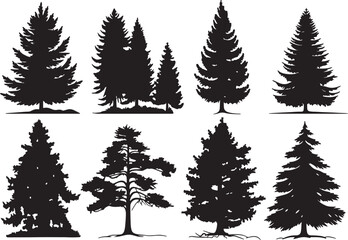 Fototapeta premium Set of Fir trees in silhouettes