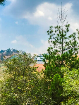 Mountain landscape with lush green trees, blue sky, and clouds, viewed from a hillside road in Indonesia, showing natural scenery and peaceful outdoor atmosphere.
