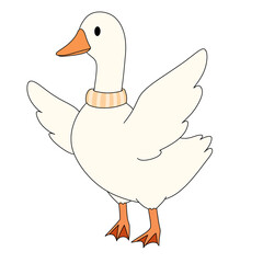 White duck standing alone on a clean white background