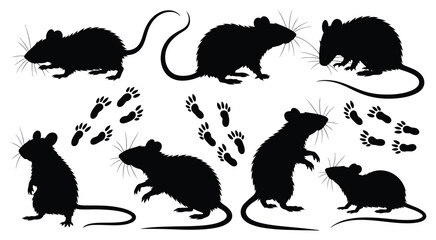 Black Rat Silhouettes, featuring various poses and paw prints, perfect for Halloween, pest control, educational, and creative design