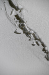 Textured Background with Natural Organic Shapes 