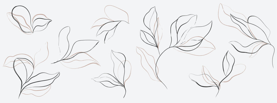 Modern abstract botanical line art featuring large, flowing leaves drawn with layered outlines in dark charcoal and pink-beige for a contemporary, multi-toned effect