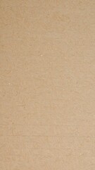 Fototapeta premium Beige textured surface