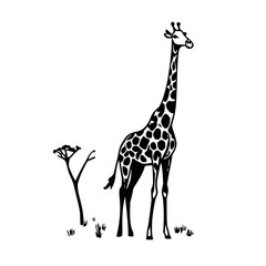 Naklejka premium Minimal giraffe line art with clean tall outline ideal for nursery prints, stickers, and digital art projects.