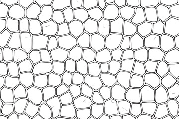 Naklejka premium Microscopic Cell Structure: A detailed view reveals an intricate network of cells, illustrating the fundamental building blocks of life, perfect for scientific and educational uses.