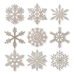 Set of vector snowflakes in winter design