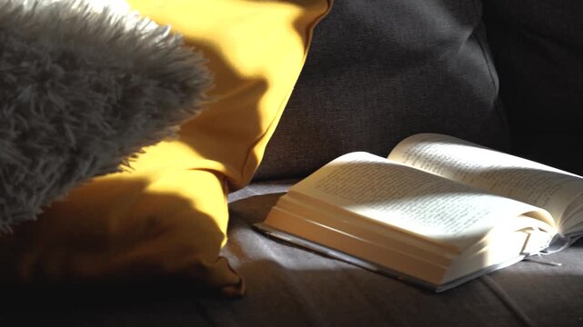 Enjoying a quiet moment with an open book