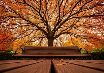 Park Bench Underneath a Spreading Tree in Autumn