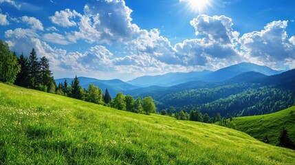 A serene mountain landscape with lush green grass, towering pine trees, and a bright blue sky dotted with fluffy white clouds.