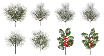 Christmas pine branches and holly leaves with snow and berries.