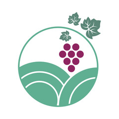 Wine logo icon design