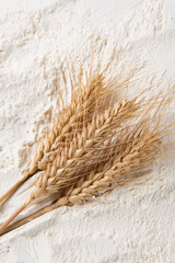 Close-up of white flour with wheat ears background.