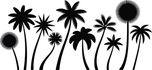 silhouette of palm tree
