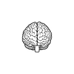 Detailed black and white line art illustration of a human brain with visible hemispheres and intricate folds.