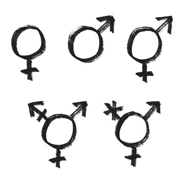 Set of hand drawn female, male, bigender and transgender gender identity sign Symbol used to represent sex and gender Single element for print, web, design, decor