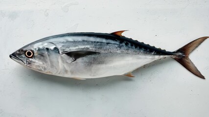 Fresh whole fish with gray and silver scales and fins on white surface showcasing detailed texture and natural colors evoking quality marine seafood and aquatic freshness