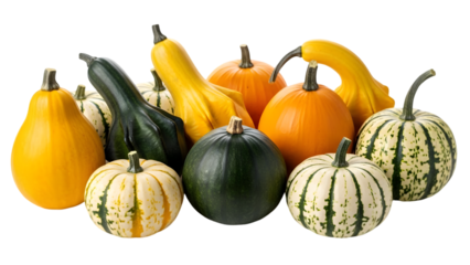 Variety of colorful autumn pumpkins and gourds isolated on transparent background