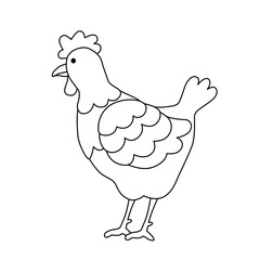 Outline drawing of hen isolated on a white background. Chicken linear icon, vector illustration, coloring page. Poultry.