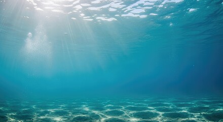 Fototapeta premium Underwater scene with sunlight filtering through the water.