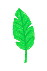 Handdrawn Tropical Green Leaf Illustration &ndash; Botanical Foliage, Jungle and Exotic Plant Elements Collection for Nature-Inspired, Ecofriendly, and Organic Decor"