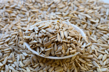 Obraz premium Peeled sunflower seeds, close up