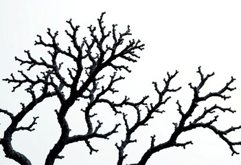 Obraz premium Intricate black coral branches, dark against a light background, detail, undersea