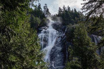 Shannon Falls and green forest with natural lighting in the Stawamus Provincial park, Squamish, British Columbia, Canada