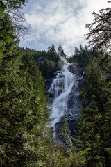 Shannon Falls and green forest with natural lighting in the Stawamus Provincial park, Squamish, British Columbia, Canada