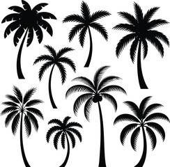 Tropical palm tree silhouettes collection for design elements