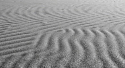 Obraz premium Close up texture of fine dry sand forming a natural monochrome desert landscape backdrop with extensive copy space for design projects ,textured ,desert ,horizontal
