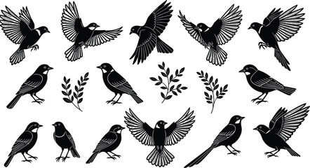 Set of detailed black bird silhouettes flying and perched with leaves, vector illustration collection isolated on white, for nature logo design.
