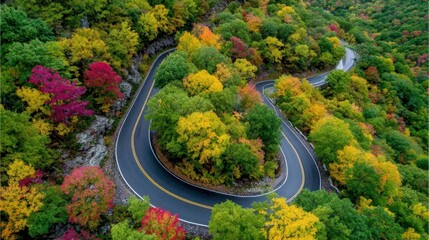 Scenic Aerial View of Winding Road Amidst Colorful Autumn Foliage