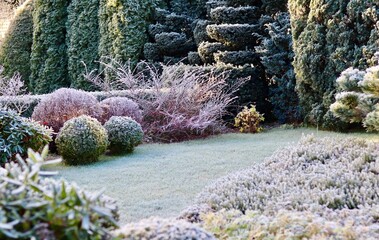 Hoarfrost covering a beautifully designed garden, plants, shrubs, and green lawn in a cold winter landscape