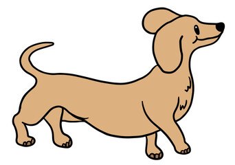 Hand drawn cute Dachshund puppy for playtime, animal decoration, dog shape, cartoon, paw friend, pet shop, vet, character, comic, mascot, adopt and rescue dog, shelter, foster home, toy, doll, home