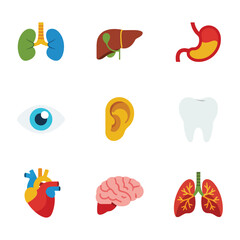 Human organs illustration pack, heart brain lungs liver eye ear tooth icons, anatomy education theme, colorful flat vector design set