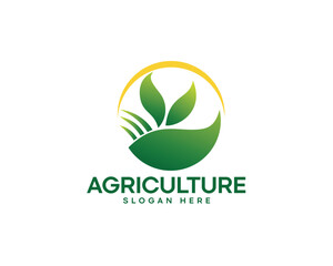 three leaves and abstract agriculture field logo