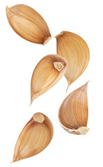 a photograph of five fresh, raw garlic cloves falling and floating in mid-air against a clean transparent background.
