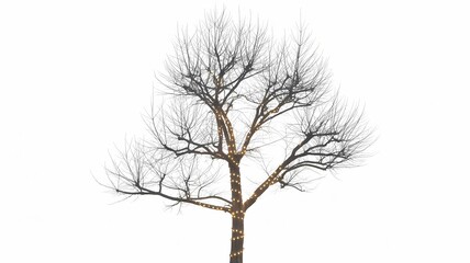 warm yellow lights wrapped around the dead tree