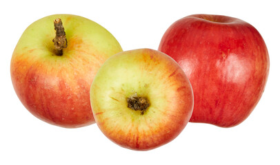 photograph showcasing a trio of vibrant, ripe apples in shades of red and green, some with natural stems, arranged attractively against a dark backdrop.