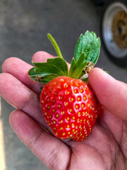 Closeup view of sweet strawbery fresh from in the garden.
