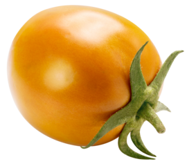 Fresh Yellow tomato isolated on white background PNG File.