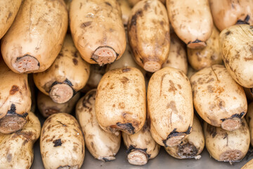 A pile of fresh raw lotus roots with beige skin and visible holes stacked together at a market stall.