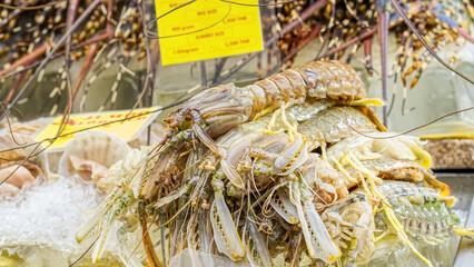 Pile of fresh raw mantis shrimps on ice at seafood market stall.