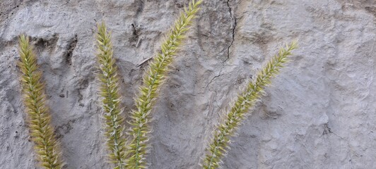 water flowing from the window