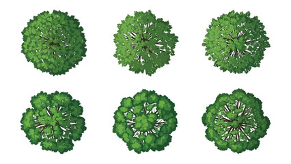 Obraz premium Elevated perspective collection of distinct verdant tree foliage designs for environmental graphics
