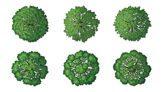 Elevated perspective collection of distinct verdant tree foliage designs for environmental graphics