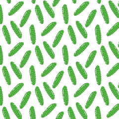 Green Cucumber Seamless Pattern. Vector Vegetable Background. Cute hand drawn food illustrations