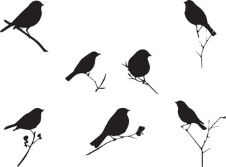 Black silhouette Sparrow Birds sitting on branches 